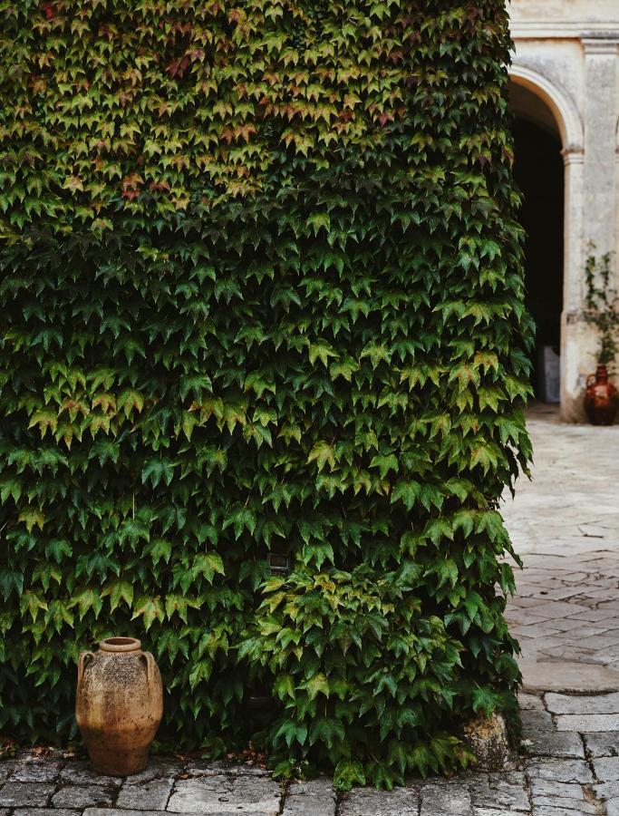 Palazzo Daniele, A Member Of Design Casa de hóspedes Gagliano del Capo